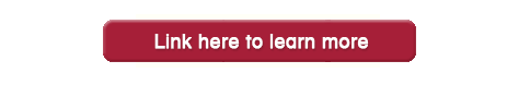 Learn More Learn More